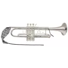 BG A31T - trombita befúvócső tisztítókendő