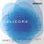 D'addario H313 Helicore hegedűhúr D, 4/4 medium