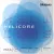 D'addario Helicore brácsahúr C, medium