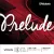 D'addario J811 Prelude hegedűhúr E, 1/2 medium