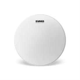 Evans B14G1RD Power Center Reverse Dot coated dobbőr