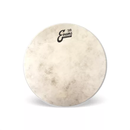 Evans TT13C7 Calftone 13" tom dobbőr