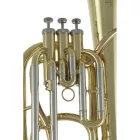 Roy Benson BH-301 tenorkürt