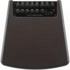 Ibanez T80II akusztikus gitárerősítő 80W