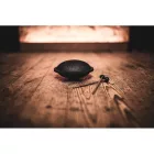Meinl MSTD2NB Sonic Energy Mini Nyelvesdob, navy