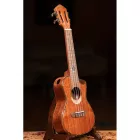 Ortega ECLIPSE-CC4 Koncert ukulele, tokkal