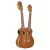 Ortega HYDRA Dupla nyakú tenor ukulele, tokkal