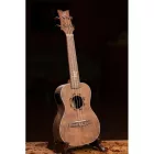 Ortega LIZARD-CC-GB Koncert ukulele, tokkal