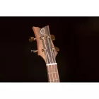 Ortega LIZARD-TE-GB Tenor ukulele, tokkal