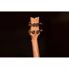 Ortega LIZARD-TE-GB Tenor ukulele, tokkal