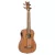 Ortega LIZZY-BSFL-GB Short scale bund nélküli basszus ukulele, tokkal