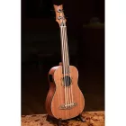 Ortega LIZZY-BSFL-GB Short scale bund nélküli basszus ukulele, tokkal