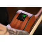 Ortega LIZZY-PRO Short scale bund nélküli basszus ukulele, tokkal