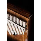 Ortega OKB1E Kalimba, Lizard series, pickupos, 17 billentyűs