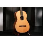 Ortega R122SN Klasszikus gitár, 4/4-es méret, vékony nyakú, tokkal