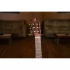 Ortega R55DLX-BFT Klasszikus gitár, 4/4-es méret, tokkal