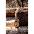 Ortega RFU10ZE Szoprán ukulele, előerősítővel, tokkal