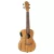 Ortega RFU11ZE Koncert ukulele, előerősítővel, tokkal