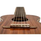Ortega RGLE18ACA Guitalele, utazó gitár
