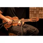 Ortega RGLE18ACA Guitalele, utazó gitár
