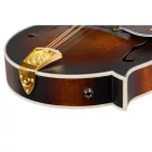 Ortega RMFE100AVO Mandolin, tokkal