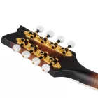Ortega RMFE100AVO Mandolin, tokkal