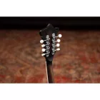 Ortega RMFE30-WB Mandolin