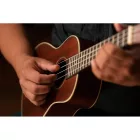 Ortega RU11 Koncert ukulele, tokkal