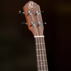 Ortega RU5 koncert ukulele
