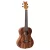 Ortega RUACA-TE Tenor ukulele, natúr, tokkal