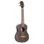 Ortega RUEB-TE Tenor ukulele, tokkal