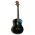 Ortega RUGH-BKT Tenor ukulele, tokkal