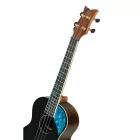 Ortega RUGH-BKT Tenor ukulele, tokkal