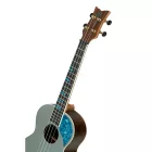 Ortega RUGH-PLT Tenor ukulele