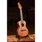 Ortega RUHZ-MM Koncert ukulele, natúr