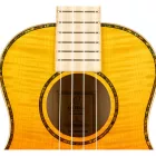 Ortega RUPR-TQB Tenor ukulele, tokkal