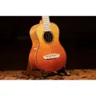 Ortega RUPR-TQB Tenor ukulele, tokkal