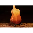Ortega RUPR-TQB Tenor ukulele, tokkal