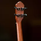 Ortega RU5MM-TE tenor ukulele
