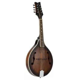 Mandolin